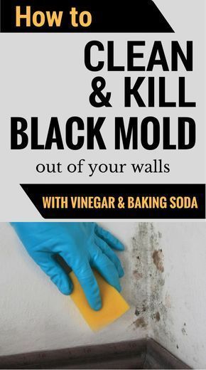 Kill Black Mold, Homemade Toilet Cleaner, Clean Baking Pans, Black Mold, Cleaning Painted Walls, Glass Cooktop, Deep Cleaning Tips, Baking Soda Shampoo, Clean Dishwasher