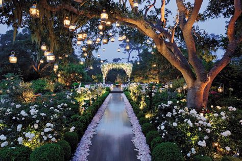 75+ incredible wedding photos Wedding Aisles, Midsummer Nights Dream Wedding, Enchanted Garden Wedding, Wedding Ceremony Ideas, Garden Weddings Ceremony, Bridal Guide, Midsummer Nights Dream, Enchanted Garden, Wedding Aisle