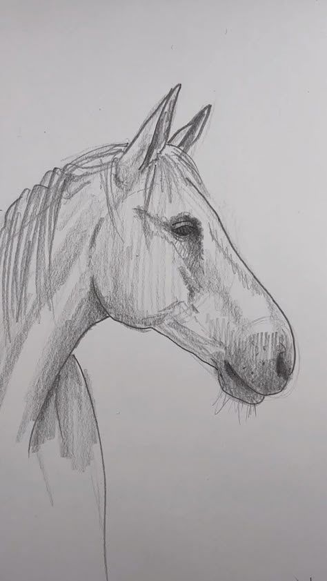 Horse Easy Drawing, Equine Art Pencil Drawings, Easy Horse Drawing, Horse Drawing Tutorial, Draw A Horse, Horse Art Drawing, Horse Sketch, Drawing Lesson, Cute Sketches