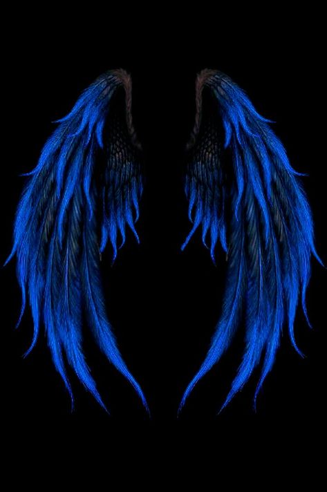 惡魔神 Dark Wings, Blue Angel, Blue Wings, An Angel, Black Background, Feathers, The Story, Books Wattpad, Wattpad