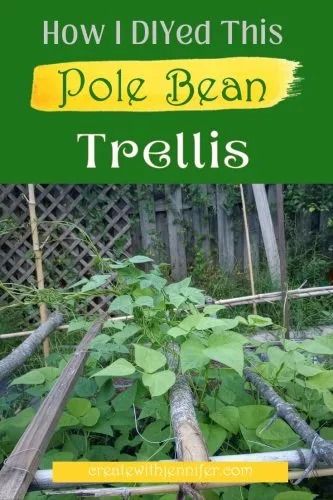 Trellis for climbing pole beans Pole Bean Trellis, Bean Trellis, Trellis System, Yard Art Crafts, Diy String Lights, Bean Plant, Bamboo Poles, Runner Beans, Triangular Pattern