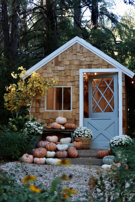 Autumn Potting Shed Tour - French Country Cottage Cozy Candlelight, Potted Mums, French Vintage Decor, Inside Decor, English Cottage Garden, Greenhouse Gardening, Charming Garden, Potting Shed, French Country Cottage