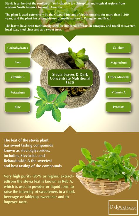 Stevia Benefits, Moringa Benefits, Stevia Plant, Ketogenic Diet Meal Plan, Glycemic Index, Herbal Tea Blends, Herbs For Health, Low Glycemic, Edible Plants