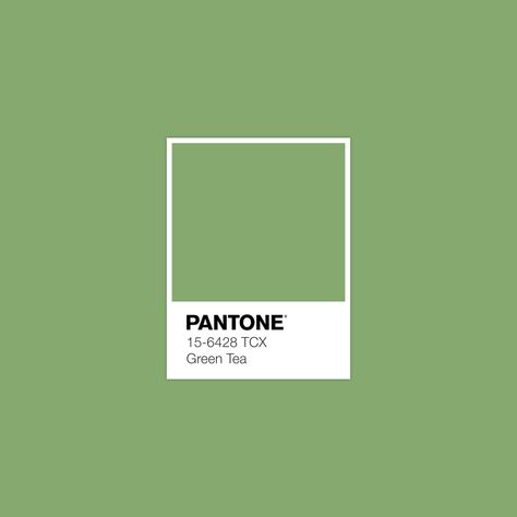 “Green Tea”. Pantone Green, Color Library, Pantone Swatches, Color Pantone, Pantone Colour Palettes, Pantone Colors, Idea Design, Color Inspo, Colour Board