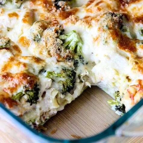 Chicken and Broccoli Lasagna Alfredo Chicken Broccoli Lasagna, Broccoli Lasagna Recipe, Broccoli Chicken Alfredo, Broccoli Lasagna, Skillet Chicken Recipes Easy, Turkey Broccoli, Easy Fall Dinner Recipes, Winter Dinners, Chicken Broccoli Cheese