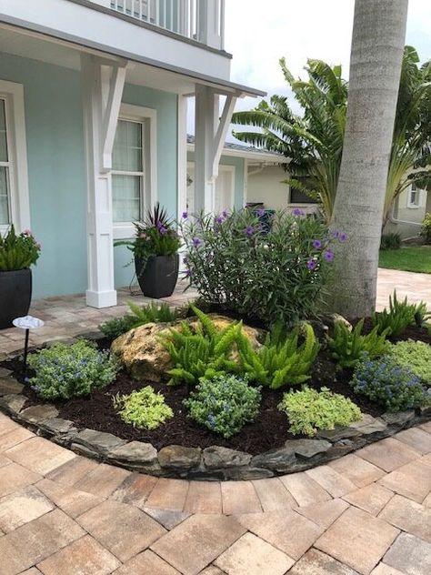 Succulents in the Landscape — Victoria's Bloomers Foxtail Fern Landscaping, Fern Landscaping, Variegated Ginger, Foxtail Fern, Backyard Spa, Outdoor Play Space, Florida Landscaping, Front Courtyard, Types Of Succulents