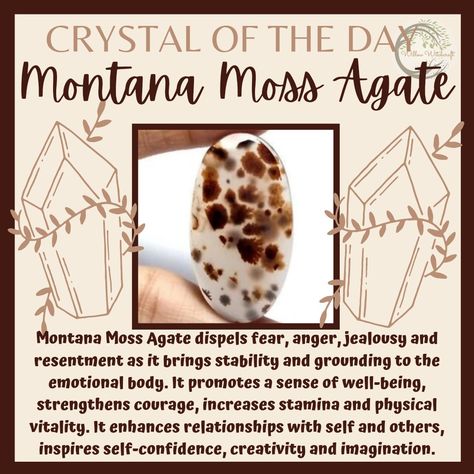 Montana Agate Meaning, Moss Agate Meaning, Witch Stones, Crystals Guide, Aesthetics Accessories, Crystal Identification, Montana Moss Agate, Feng Shui Guide, Crystal Magick