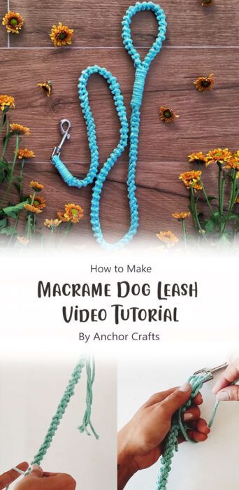 Stylish & Strong: DIY Macrame Dog Leash Free Tutorial Idea for Pet Lovers - Carolinamontoni.com Macrame Hanging Cat Bed, Macrame Dog Leash, Dog Leash Diy, Hanging Cat Bed, Anchor Crafts, Macrame Hanging, Macrame Ideas, Diy Macrame, Fall Diy