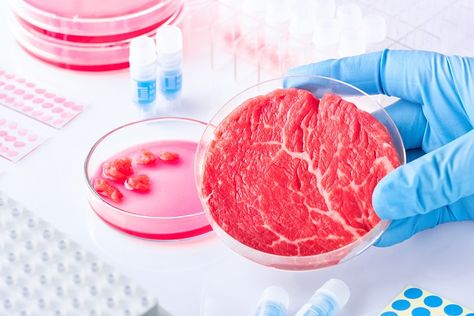 Animal-free FBS alternative? UK backs development of novel growth media for cell-based meat Tissue Engineering, Meat Markets, Animal Agriculture, Food Tech, Factory Farming, World Hunger, Food System, Food Supply, Veggie Burger