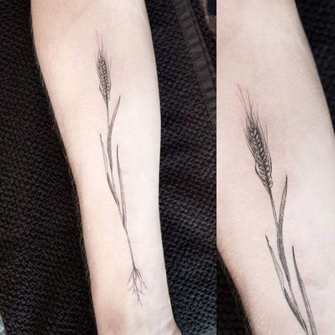 Barley Tattoo, Farm Tattoo, Wheat Tattoo, Ukrainian Tattoo, Men Flower Tattoo, Beer Tattoos, Roots Tattoo, Surreal Tattoo, Botanical Tattoo