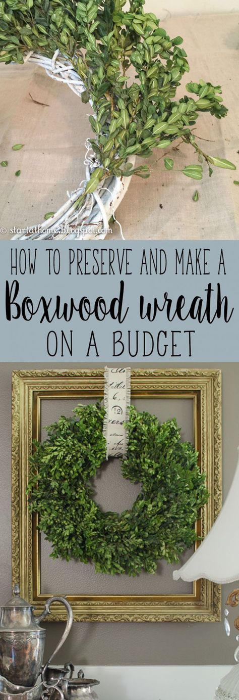 Step by step tutorial on how to preserve and make a real boxwood wreath on a budget At Home Decor, Preserved Boxwood, Wreath Hanging, Boxwood Wreath, Do It Yourself Projects, Décor Diy, Farmhouse Wreath, Boho Home, Wreath Decor