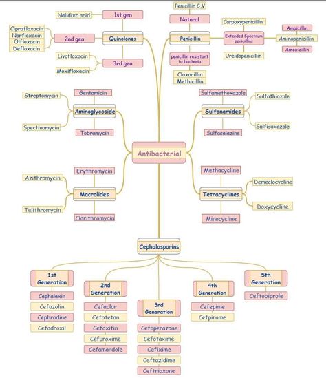 Biological Classification Notes, Pharmacy School Study, Biological Classification, Nursing School Studying Cheat Sheets, Nurse Teaching, Medical School Life, Medicine Studies, Nurse Study Notes, Nursing Student Tips