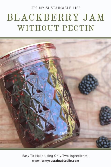 Blackberry Jam Without Pectin, Blackberry Jam No Pectin, Canning Blackberries, Seedless Blackberry Jam, Blackberry Jam Recipe, Jam Without Pectin, Refrigerator Jam, Blackberry Jam Recipes, Blackberry Recipes