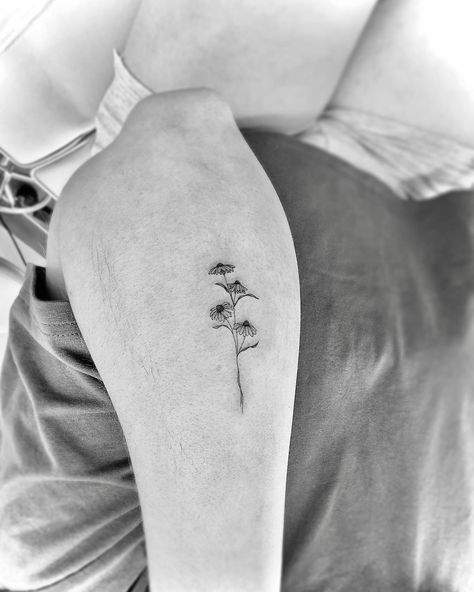 First tattoo ♡ ⠀ ⠀ ⠀ ⠀ ⠀ ⠀ #singleneedletattoo #finelinetattoo #columbusohio #ohiotattooers #ohiotattooartist #columbustattooers #ink #inkbylish #singleneedle #fineline #flowertattoo #firsttattoo #coneflower #floraltattoo #grovecity #grovecityohio Coneflower Tattoo, Ohio Tattoo, Grove City Ohio, Single Needle Tattoo, Fine Line Tattoos, First Tattoo, Tat Ideas, Fine Line, Small Tattoos