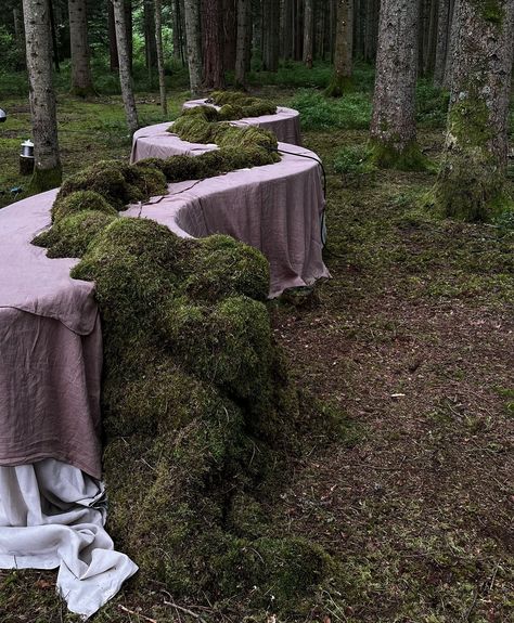 dinner‘s ready - floral installation for @annemarieboerlind in the middle of the black forest 🧚 #floralinstallation #floraldesign #moss #floralsculpture #feel_wedvibes Moss Tablescape, Moss Installation, Woodland Quotes, Moss On Tree, Forest Installation, Enchanted Woodland, Floral Installation, Table Layout, The Black Forest