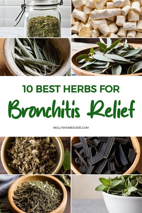 Best Herbs For Cough, Foods To Help Bronchitis, Herbal Remedies For Bronchitis, Herbal Remedies For Cough, Herbs For Chest Congestion, Home Remedy For Bronchitis Cough, Herbal Tea For Cough, Natural Lung Healing, Herbs For Coughing