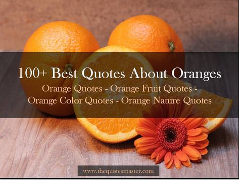 Read and share our 100  Best Quotes About Oranges - Orange Quotes - Orange Fruit Quotes - Citrus Fruit Quotes - Orange Color Quotes - Orange Nature Quotes. Quotes About Oranges Fruit, Orange Instagram Captions, Orange Quotes Fruit, Quotes About Oranges, Citrus Quotes, Orange Captions For Instagram, Oranges Quote, Orange Fruit Quotes, Orange Color Quotes