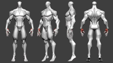 Anatomy Construction, Stylized Anatomy, Anatomy Male, Human Model, 3d Anatomy, Zbrush Character, Stylized 3d, Poses Anatomy, Man Anatomy