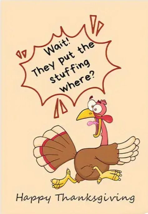 Thanksgiving Gifs Images Funny, Thanksgiving Hilarious Humor, Happy Thanksgiving Funny Quotes, Thanksgiving Wishes To Friends Funny, Thanksgiving Memes Humor, Happy Thanksgiving Images Funny, Thanksgiving Humor Hilarious Laughing, Funny Thanksgiving Videos, Funny Happy Thanksgiving Images