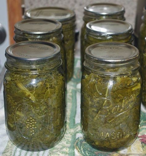 Sb Canning, Canning Granny, Diy Canning, Dilly Beans, Pressure Canning Recipes, Canning 101, Home Canning Recipes, Canning Vegetables, Canning Food Preservation