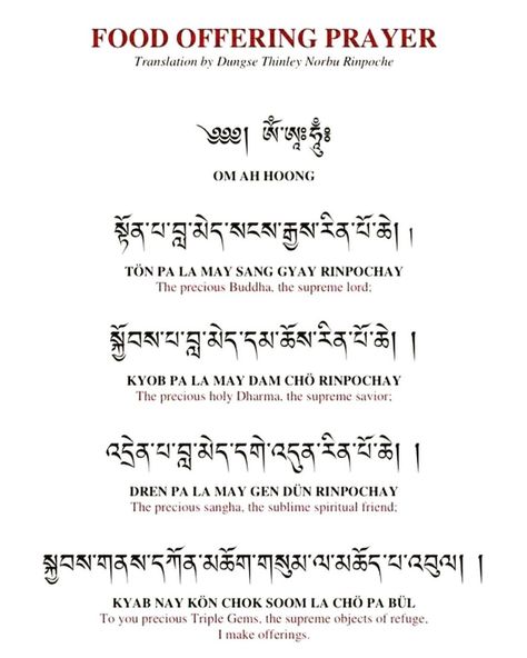 @karma_lodro_gyatso_yip on Instagram: “With an exception of monks and lamas how many of you do actually recite prayer before taking food or tea? I think very few!!! As a Buddhist…” Prayer Before Eating Meals, Prayer Before Eating, Buddhist Prayers, Nepal Tattoo, Tibetan Language, Food Prayer, Buddhism Beliefs, Offering Prayer, Blue Buddha