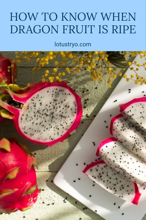 Learning how to identify ripe dragon fruit is essential for enjoying its sweet flavor. Ripe dragon fruit has a deep, bright color and feels slightly softer when you give it a gentle squeeze. Look for spiky scales that are starting to dry out and bright skin tones, indicating maturity. When cut open, the flesh should be vibrant and ready to eat. Use this guide on checking the firmness, color, and aspects of fresh dragon fruit, making your next grocery pick a delicious one. How To Cut A Dragon Fruit, How To Eat Dragon Fruit, Yellow Dragon Fruit, Dragon Fruits, Pink Dragon Fruit, Yellow Dragon, The Flesh, Dragon Eye, Exotic Fruit