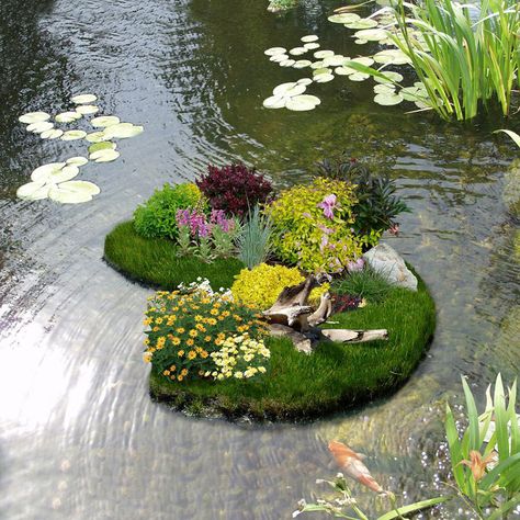 flower garden pictures | Floating Flower Gardens - The Green Head Flower Garden Pictures, Floating Flower, Floating Garden, Plantas Bonsai, Pond Water Features, Floating Plants, Carpe Koi, Pond Plants, Floating Flowers