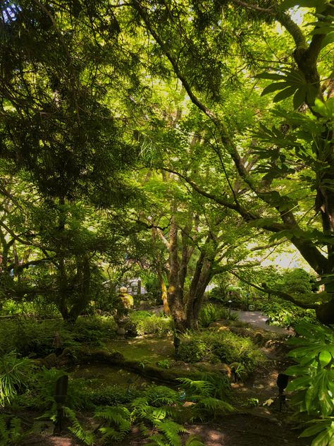 Green tones 
Forest 
Hippie vibes 
Life 
Nature 
Nature photography 
Nature aesthetics 
Nature wallpaper Pretty Trees Aesthetic, Forest Aesthetic Bright, Green Trees Aesthetic, Green Aesthetic Forest, Green Forest Aesthetic, Green Nature Aesthetic, Buchart Gardens, Tools Tattoo, Trees Aesthetic