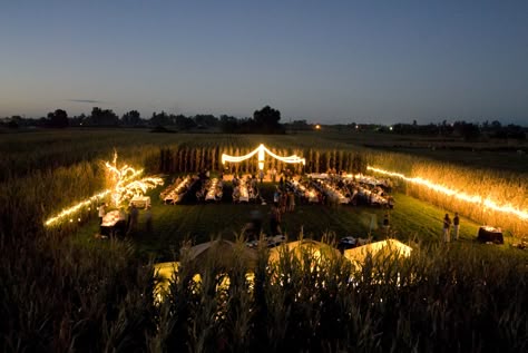 Wedding in a corn field. Top view. Corn Maze Wedding, Field Party Wedding, Wheat Field Wedding Ceremony, Corn Field Wedding Ceremony, Corn Field Wedding, Field Wedding Reception, Farmers Wedding, Wheat Field Wedding, Forest Celebration