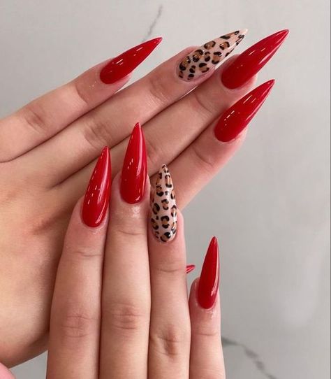 Stilleto Nails Designs, Cheetah Print Nails, Unghie Sfumate, Red Acrylic Nails, Leopard Print Nails, Print Nails, Nails Colors, Leopard Nails, Red Nail Designs