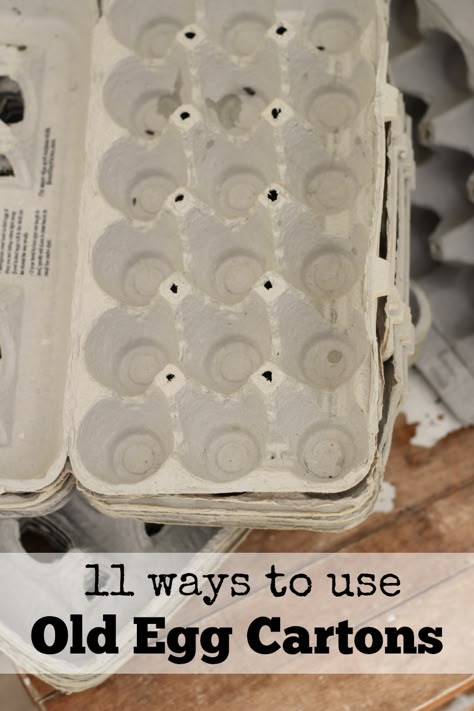 uses for egg cartons Egg Carton Uses, Crafts Egg Carton, Handmade Jewelry Display, Air Cleaning Plants, Wine Cork Diy Crafts, Wine Cork Diy, Diy Kids Crafts, Egg Carton Crafts, Kitchen Design Layout