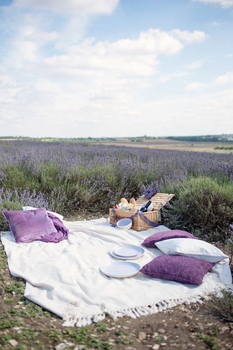 Lavender Fields Photography, Bridal Editorial, Picnic Inspiration, Picnic Style, Yennefer Of Vengerberg, Lavender Aesthetic, Lavender Field, Lavender Farm, Lovely Lavender