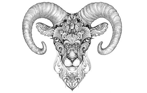 White Ink Drawing, Alas Tattoo, Arte Aries, Sheep Tattoo, Animals With Horns, Mountain Sheep, Aries Art, Aries Tattoo, Head Tattoos