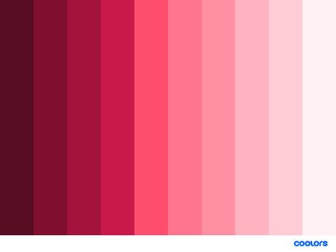 pink monochromatic color palette #pink #colorpalette #monochromatic Red Monochromatic, Monochromatic Illustration, Sunset Color Palette, Color Theory Art, Pink Color Palette, Monochromatic Color Palette, Pantone Colour Palettes, Hex Color Palette, Color Palette Challenge