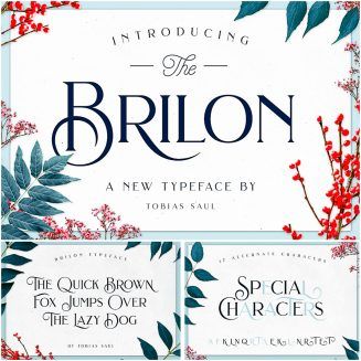 Brilon Font | Free download Vintage Esthetics, Gardener Logo, Botanical Photos, Branding Styles, Font Families, Fonts Inspiration, Installation Interactive, Fonts Dafont, Decorative Typeface