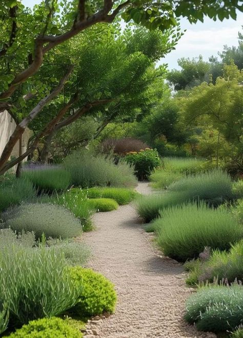 25+ Stunning Mediterranean Landscaping Ideas to Transform Your Garden 36 Mediterranean Garden Ideas Landscaping, Mediterranean Garden Landscape, Mediterranean Pots Garden, Modern Mediterranean Landscape, Mediterranean Raised Beds, Mediterranean Courtyard Garden, Tuscan Garden Ideas, Mediterranean Orchard Garden, Mediterranean Garden Courtyard