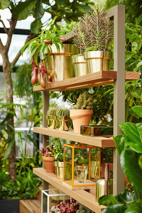 Garden city: inside Wallpaper* and EcoWorld Ballymore's Wardian installation | Wallpaper* Wardian London, Zen Balcony, Garden City, Wallpaper Magazine, Installation Design, Balcony Garden, Glass House, Landscape Architect, Garden Wall