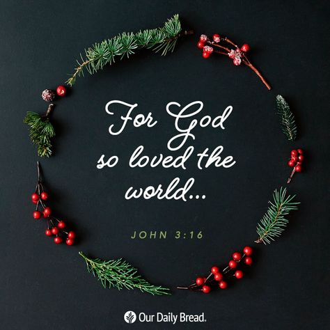 Bible In One Year, Revelation 16, Christmas Verses, Christmas Scripture, God Sent, Christmas Bible Verses, Christian Quotes Wallpaper, Bible Verse Background, God So Loved The World