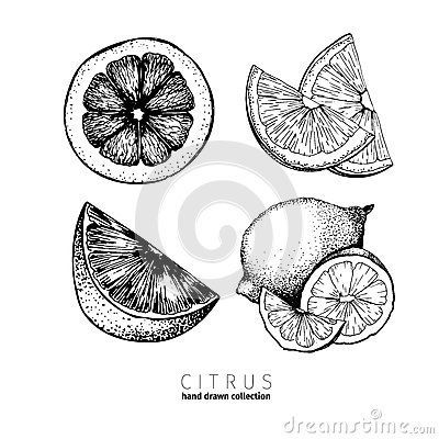 Sun Tattoo Designs, Traditional Ornaments, Pen Art Drawings, Orange Slice, Sun Tattoo, Gcse Art, Neo Traditional, Orange Slices, Pen Art