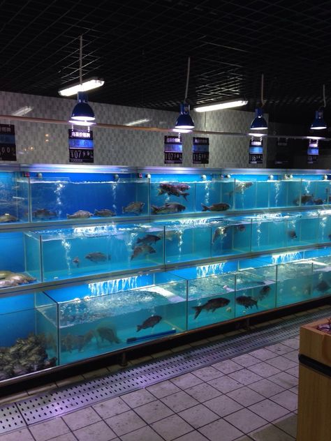 Fish Tank Restaurant, Seafood Tank, Fish Display, Chinese Restaurant Design, Restaurant Fish, Asian Store, Fish Store, Aquarium Shop, China Restaurant