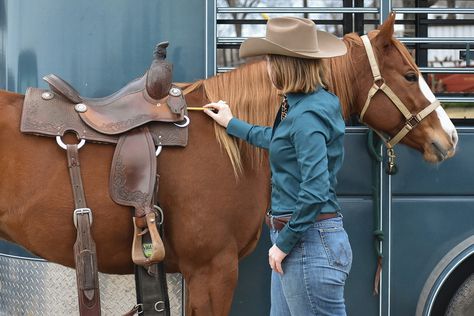 Everything You Need to Know About Saddle Fitting Saddle Fitting Western, Horse Age, Sway Back, Muscle Atrophy, Saddle Fitting, Used Saddles, Horse Feed, English Saddle, Horse Owner