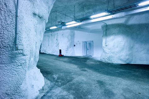 Inside the Svalbard Global Seed Vault, the deposit that protects the world's seeds Earth Roof, Norway Country, Seed Vault, Arctic Ice, Virtual Studio, Science Fiction Books, Remote Island, Sci Fi Books, The Vault