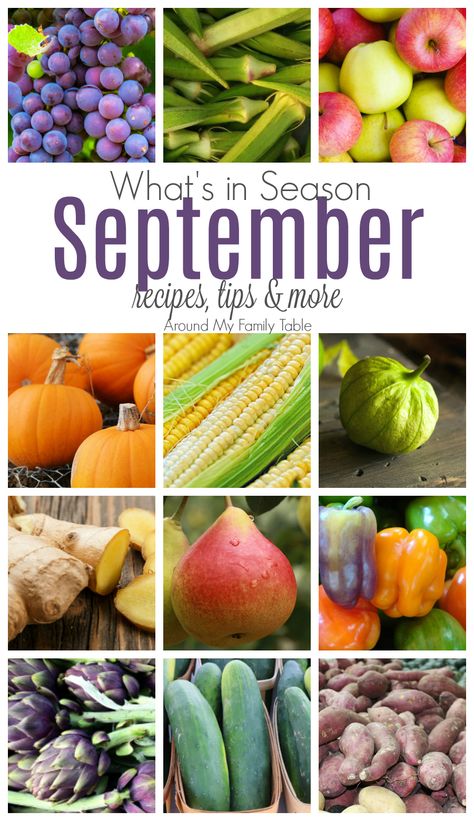 September - What's In Season Guide - Around My Family Table Fall Gardening Ideas, Seasonal Produce Guide, Seasonal Eating, Fresh Fruit Recipes, Whats In Season, Ideas Garden Design, Mint Recipes, Apple Season, Fall Gardening