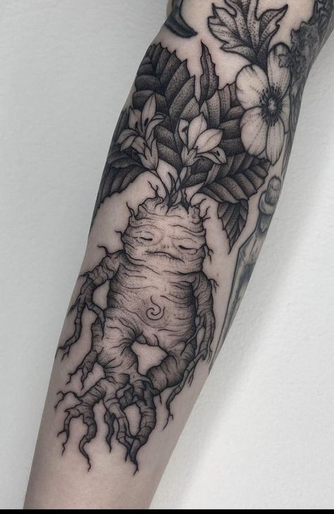 Mandrake | tattoo ideas by  Jacoby Meyer Green Witch Tattoo Sleeve, Goblincore Tattoo Sleeve, Dark Fae Tattoos, Mandrake Tattoo Harry Potter, Forest Dragon Tattoo, Dark Academia Tattoo Sleeve, Harry Potter Tattoos For Women, Creepy Nature Tattoo, Witchy Botanical Tattoo