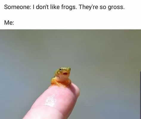 Cursed Things, Pretty Snakes, Frog Meme, Frog Pictures, Cute Reptiles, Silly Goofy, Pure Happiness, Funny Frogs, Frog Art