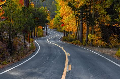 The Best Places to Spot Fall Color in Northern California June Lake, Leaf Peeping, Yosemite Falls, Mammoth Lakes, Nevada City, Big Leaves, Scenic Byway, South Lake Tahoe, Mountain Town