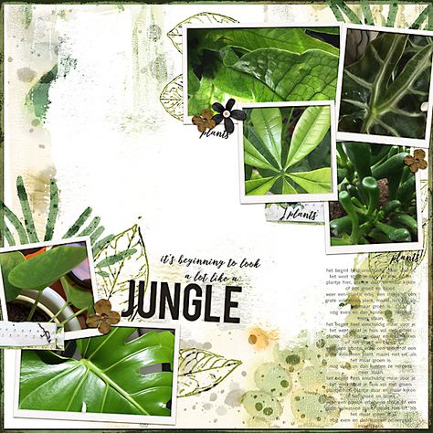 Jungle Scrapbook, Journal Sketches, June Challenge, Multi Photo, Artist Community, Digital Scrapbook Paper, Photo Challenge, Digital Scrapbooking, Scrapbook Paper