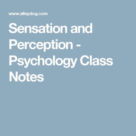 Sensation and Perception - Psychology Class Notes Sensation And Perception Psychology, Perception Psychology, Sensation And Perception, Psych Notes, Intro To Psychology, Keep Studying, Psychology Study, Time Perception, Introduction To Psychology