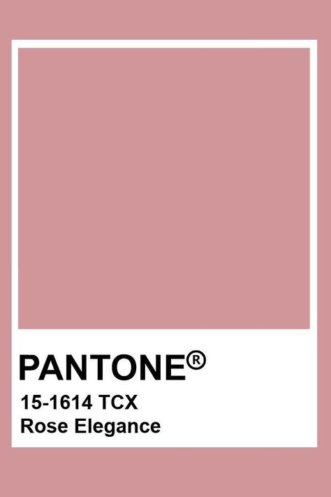 Pantone Rose, Old Rose Color, Pantone Color Chart, Flat Color Palette, Pantone Swatches, Pantone Palette, Pantone Colour Palettes, Pink Palette, Color Vibe