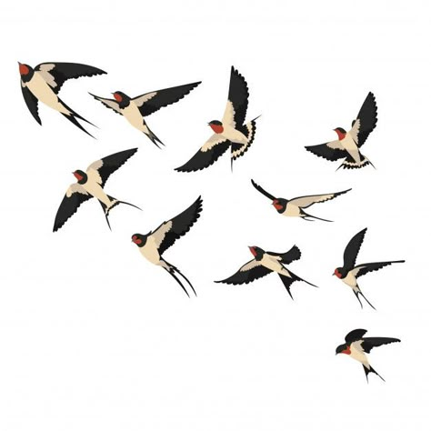 A flock of flying swallows. illustration... | Premium Vector #Freepik #vector #bird #animal #feather #illustration Craft Label, Flock Of Birds, Pola Sulam, Images Vintage, Art Et Illustration, Swallows, Bird Drawings, Art And Illustration, Bird Illustration